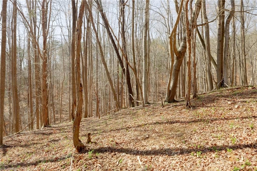 Unimproved Land at 0 Seven Island Road, Danbury NC 27016, photo 15 of 43