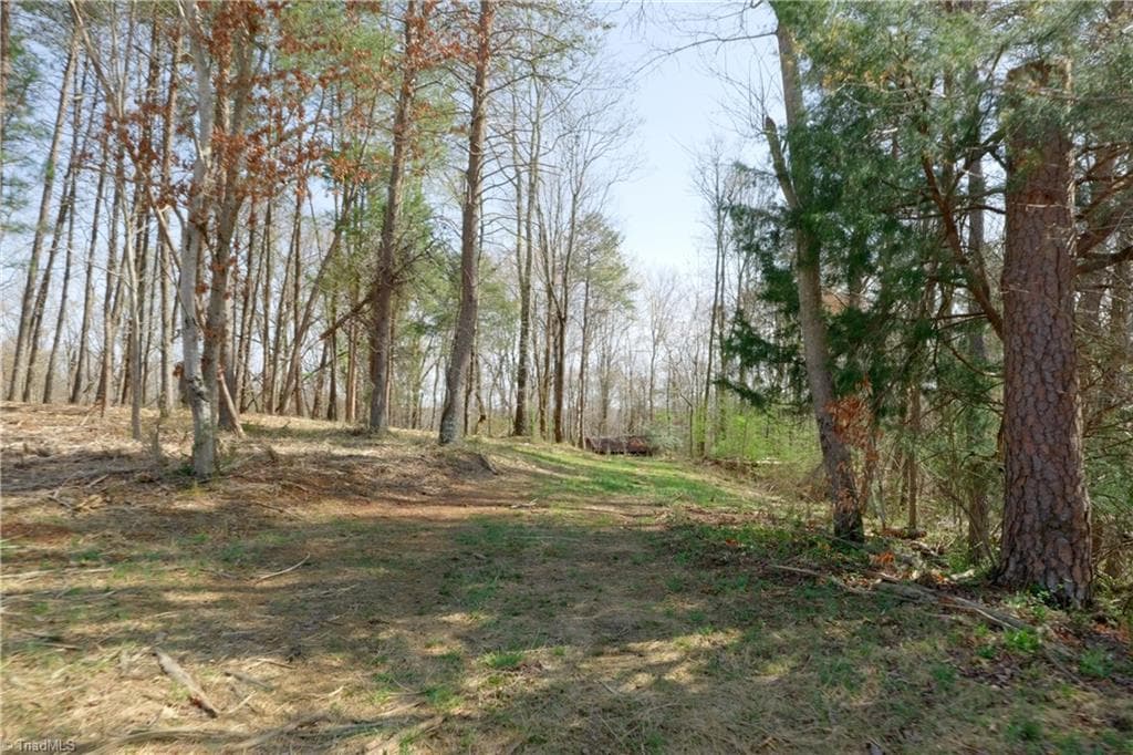 Unimproved Land at 0 Seven Island Road, Danbury NC 27016, photo 11 of 43
