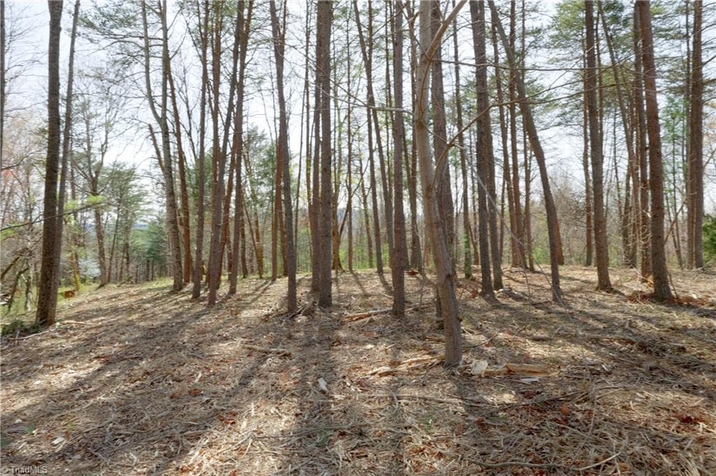 Unimproved Land at 0 Seven Island Road, Danbury NC 27016, photo 19 of 43