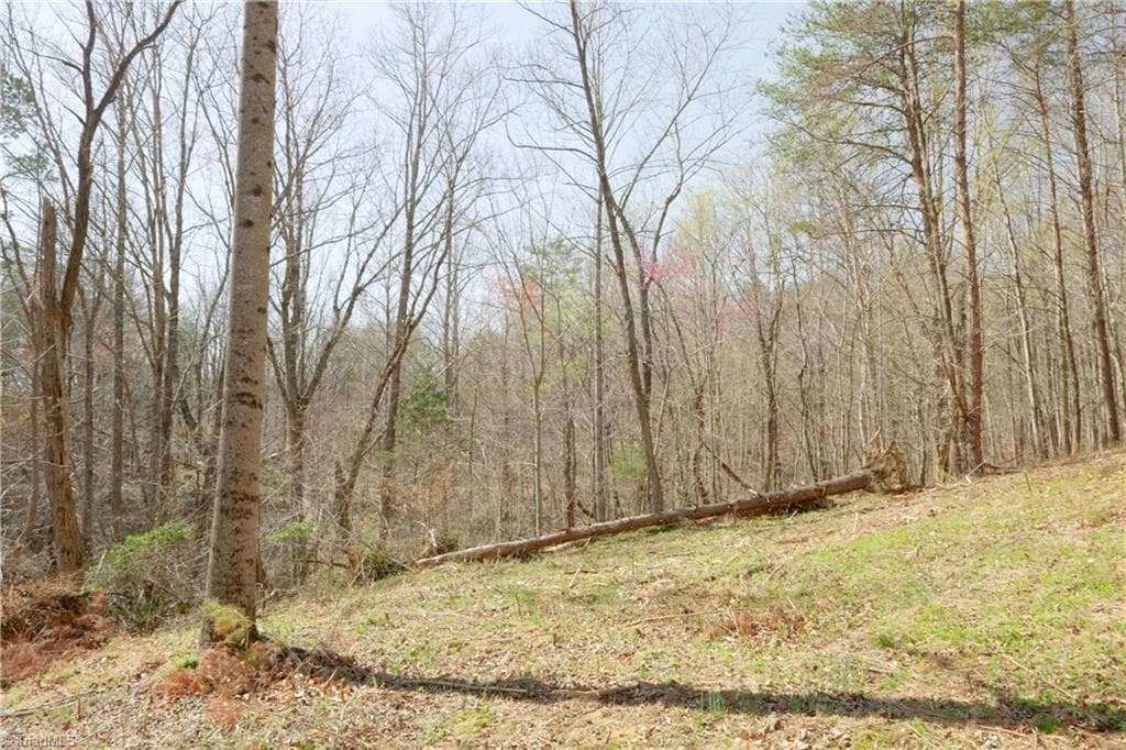 Unimproved Land at 0 Seven Island Road, Danbury NC 27016, photo 4 of 43