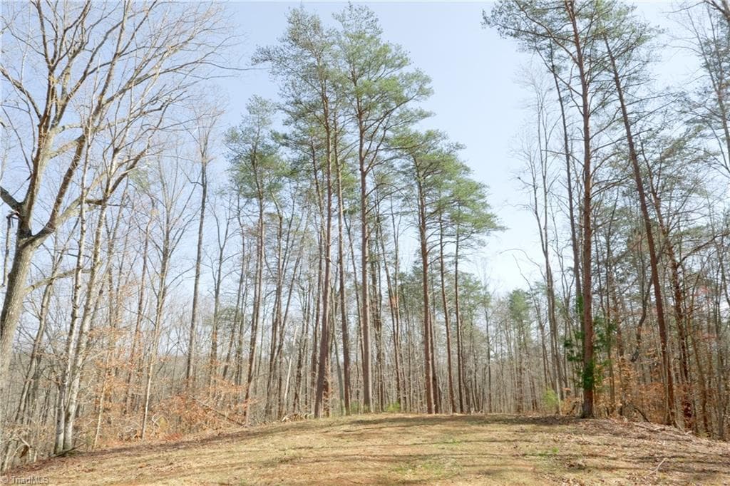 Unimproved Land at 0 Seven Island Road, Danbury NC 27016, photo 8 of 43