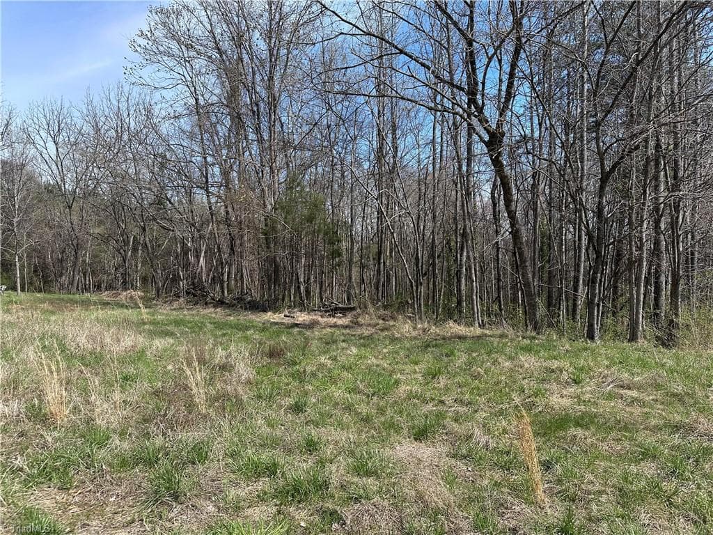 Unimproved Land at 0 Bootleg Alley, Mocksville NC 27028, Mocksville, photo 9 of 10