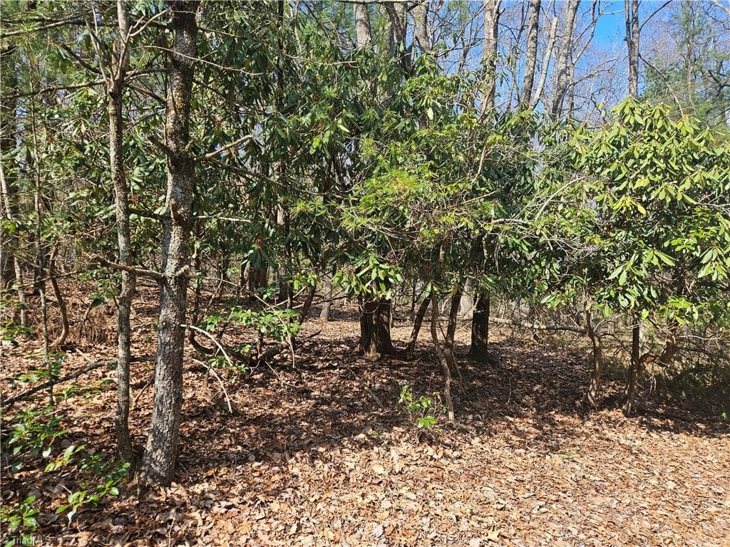 TBD Mt. Retreat Road, Roaring Gap NC 28668