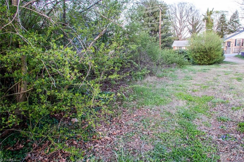 Unimproved Land at 0 N Cameron Avenue, Winston-Salem NC 27101, Winston-Salem, photo 5 of 12