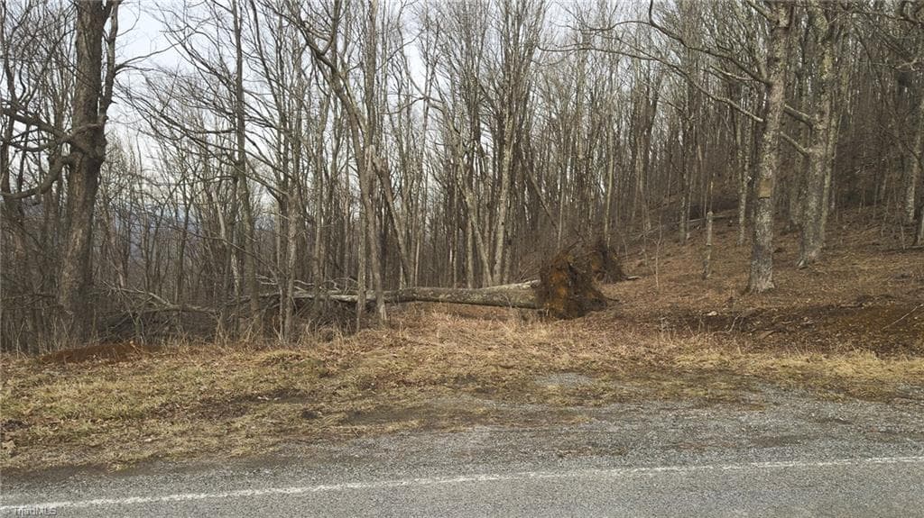 Single Family Residence at TBD Tater Hill Road, Boone NC 28698, photo 23 of 27