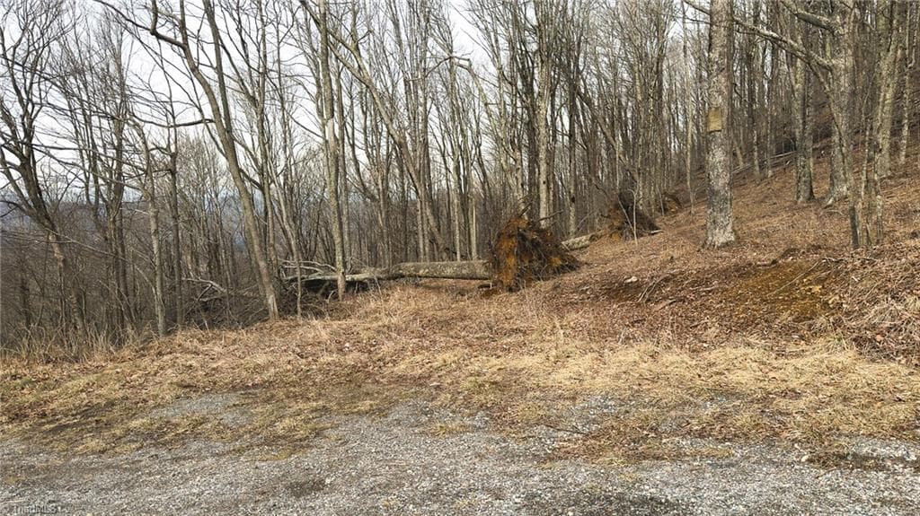 Single Family Residence at TBD Tater Hill Road, Boone NC 28698, photo 25 of 27