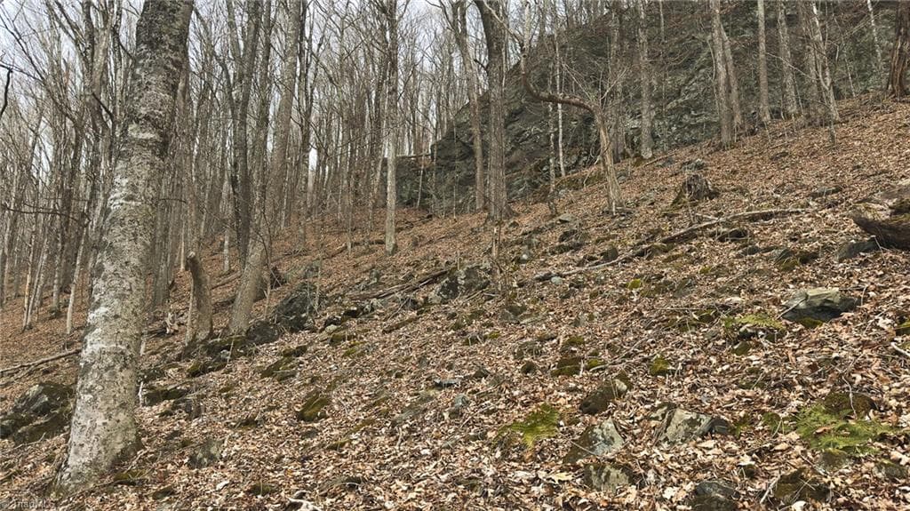 Single Family Residence at TBD Tater Hill Road, Boone NC 28698, photo 21 of 27