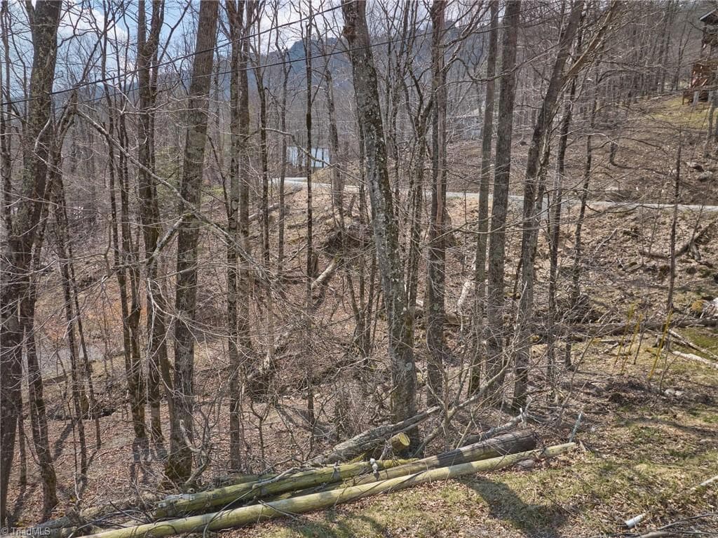 Unimproved Land at 101 Foxgrape Hollow Road, Beech Mountain NC 28604, photo 17 of 24