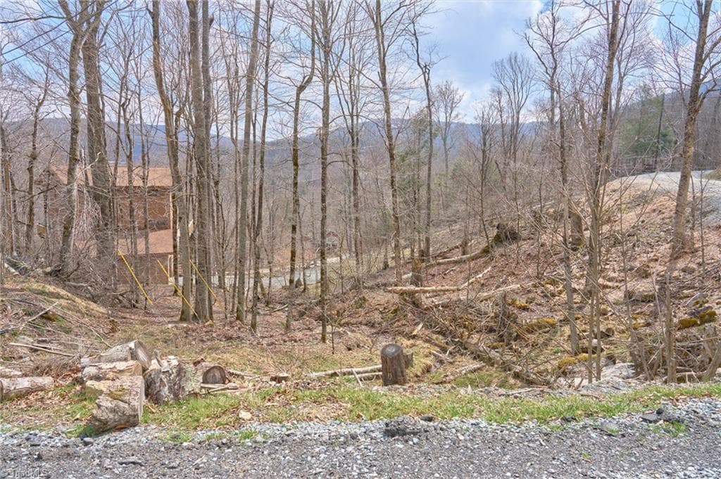 101 Foxgrape Hollow Road, Beech Mountain NC 28604