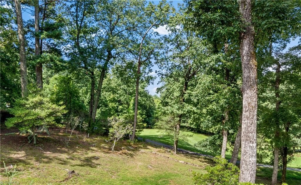 Stick/Site Built at 1502 Greenstreet Drive, Traphill NC 28685, Traphill, photo 16 of 48