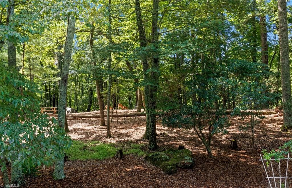Stick/Site Built at 1502 Greenstreet Drive, Traphill NC 28685, Traphill, photo 18 of 48