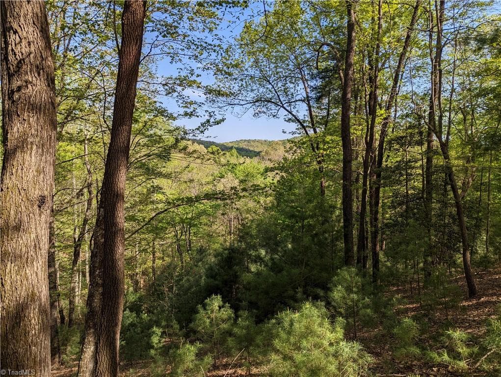 TBD Sutters Ridge Road Lot 94, McGrady NC 28649
