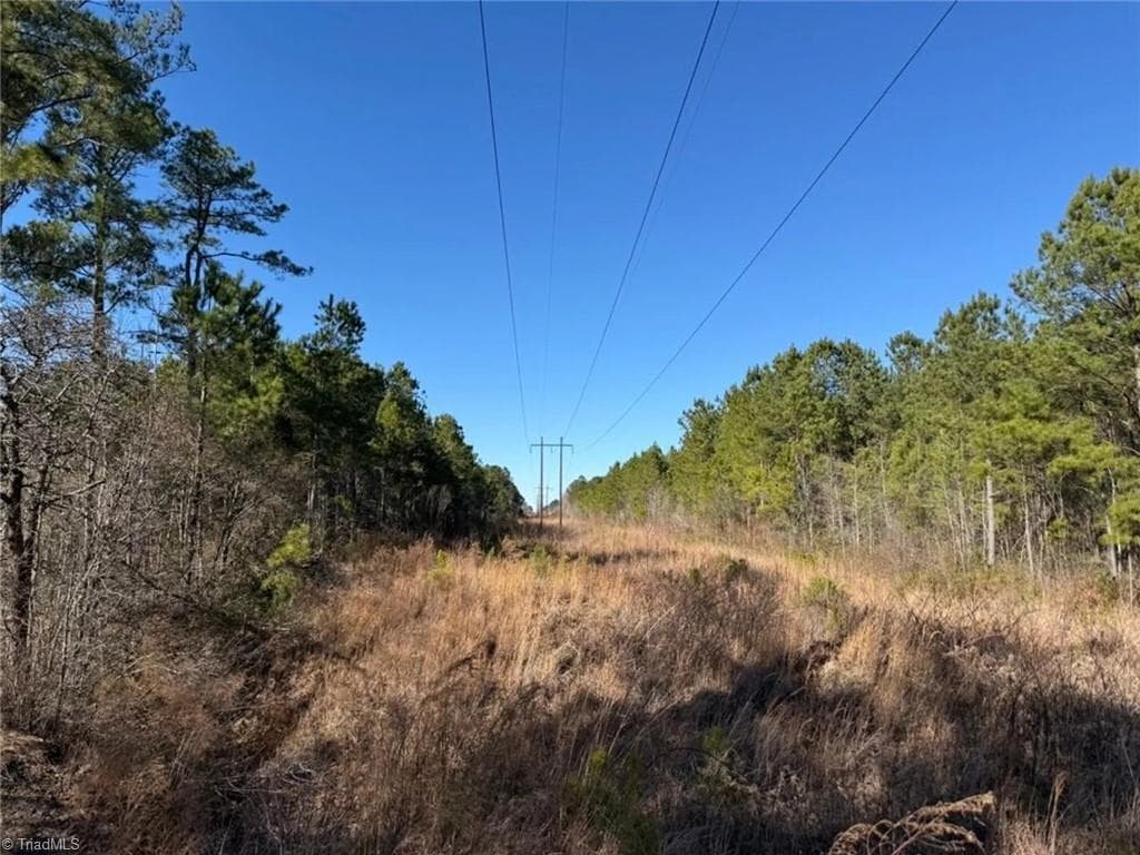 Agriculture at 00 Hammonds Road, Lumberton NC 28360, photo 18 of 19