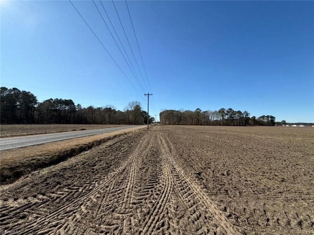 Agriculture at 00 Hammonds Road, Lumberton NC 28360, photo 11 of 19