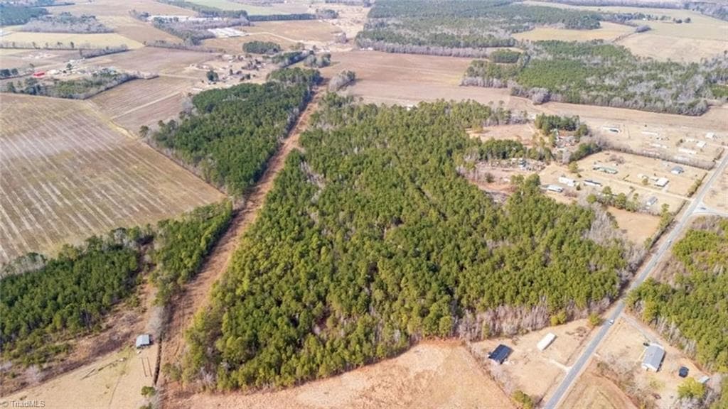 Agriculture at 00 Hammonds Road, Lumberton NC 28360, photo 8 of 19
