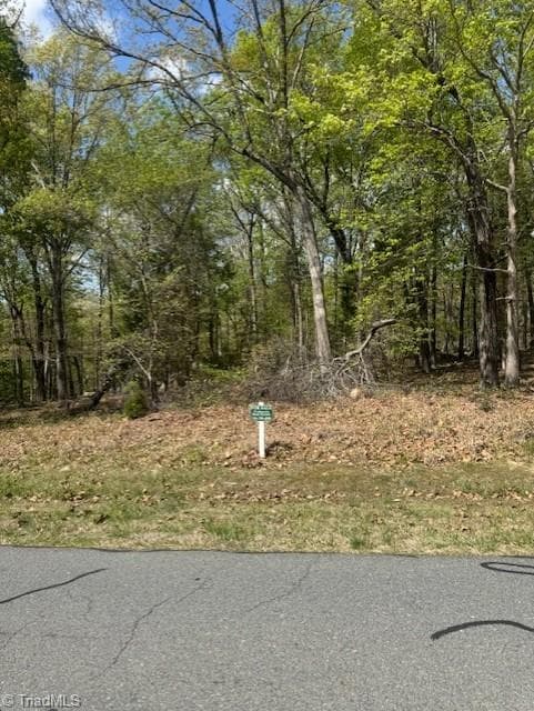 Resort at 218 Rocky Cove Lane, Denton NC 27239, Denton, photo 5 of 12