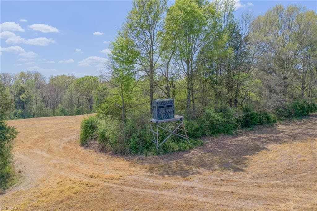 Agriculture at 32286 Laton Road, Albemarle NC 28001, photo 27 of 33