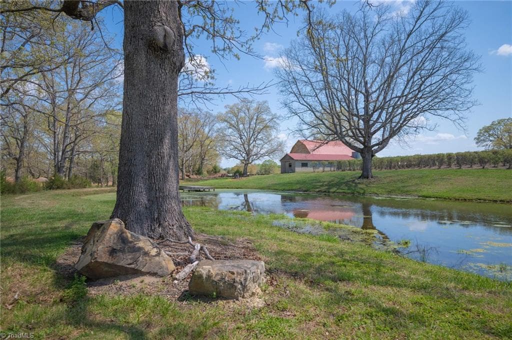 Agriculture at 32286 Laton Road, Albemarle NC 28001, photo 18 of 33