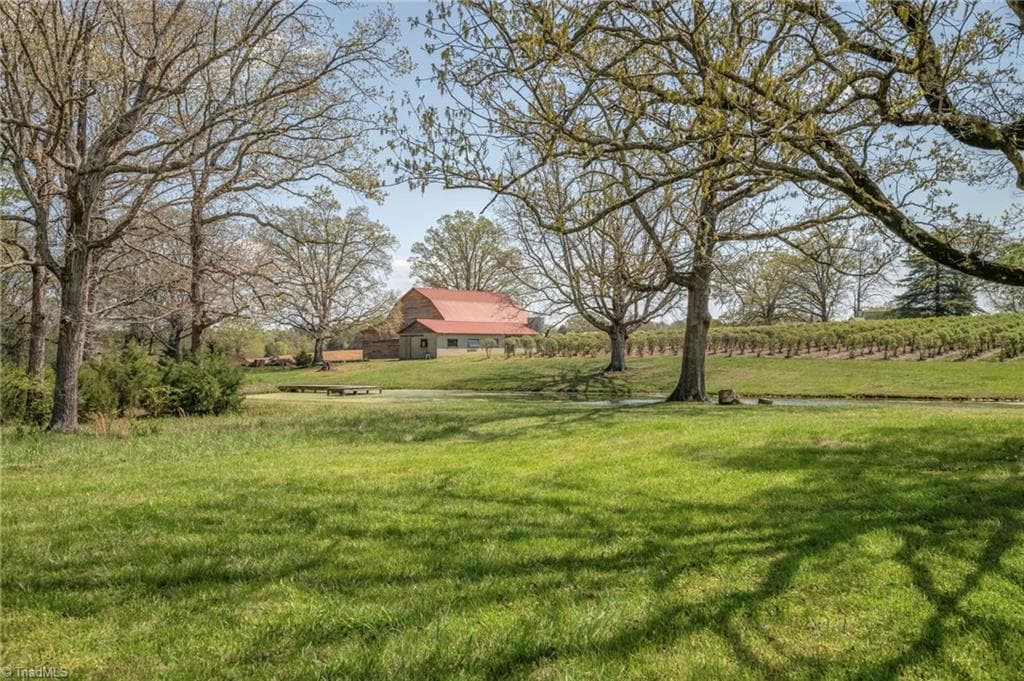 Agriculture at 32286 Laton Road, Albemarle NC 28001, photo 19 of 33