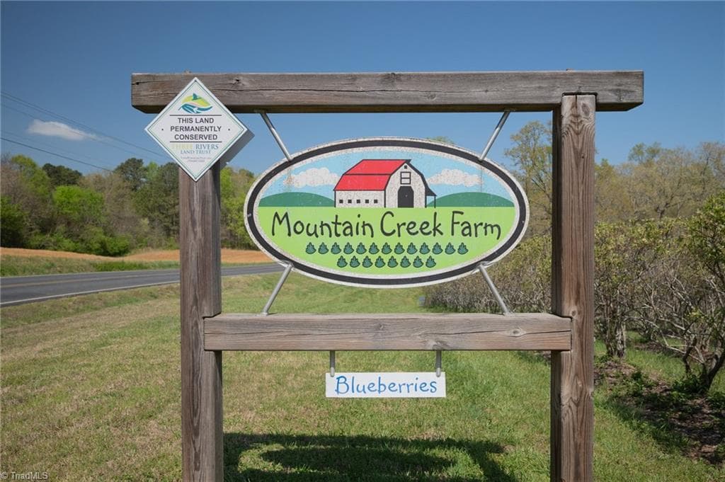 Agriculture at 32286 Laton Road, Albemarle NC 28001, photo 4 of 33