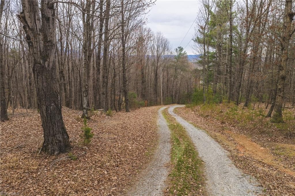 Tract 4 All Healing Springs Road, Taylorsville NC 28681
