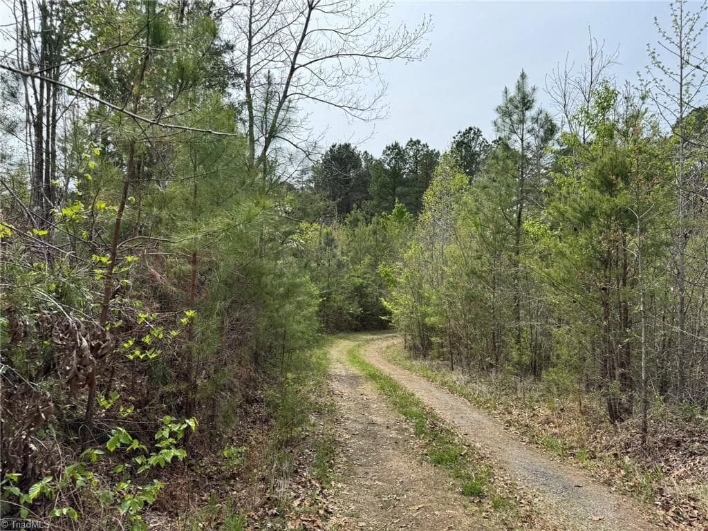 Agriculture at 6988 Salem Chapel Road, Walnut Cove NC 27052, photo 2 of 38