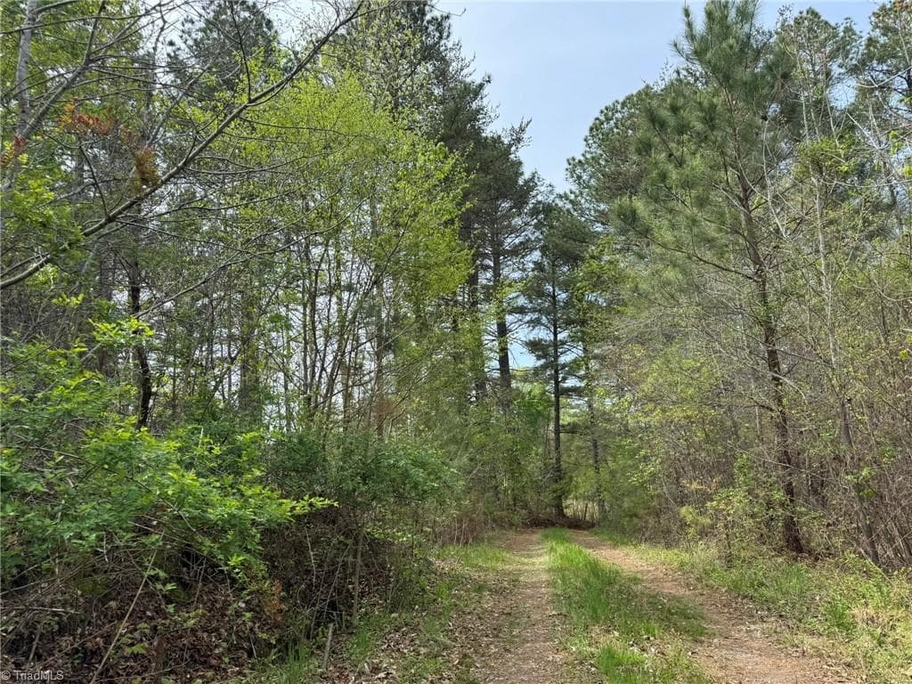 Agriculture at 6988 Salem Chapel Road, Walnut Cove NC 27052, photo 3 of 38