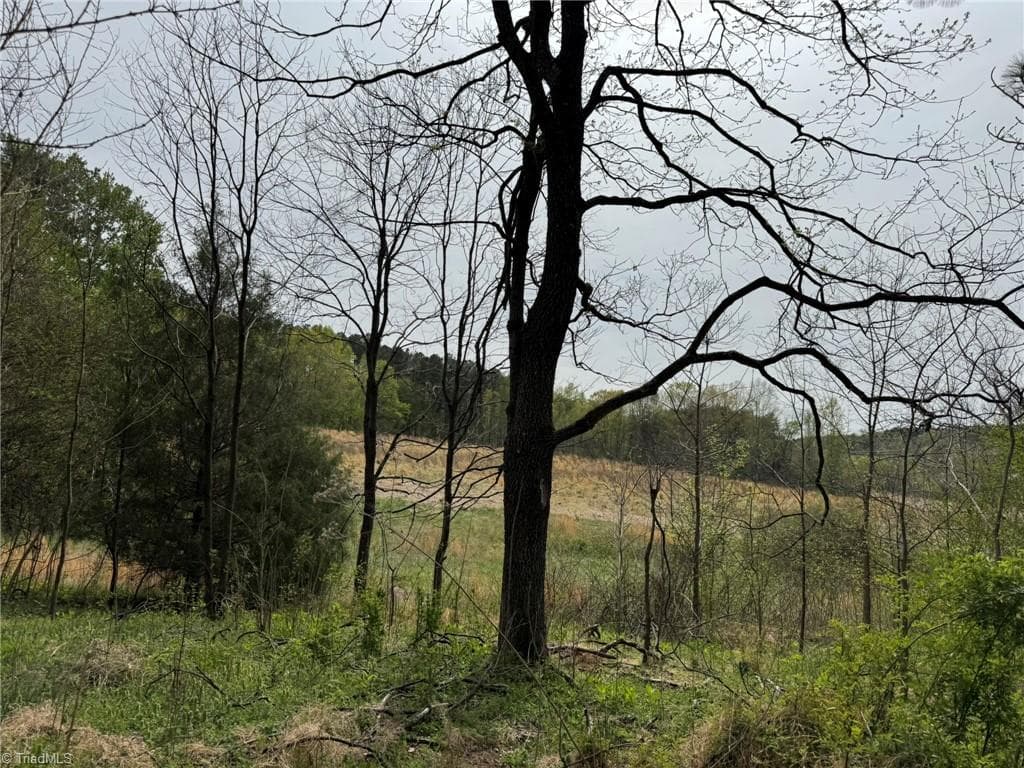 Agriculture at 6988 Salem Chapel Road, Walnut Cove NC 27052, photo 14 of 38