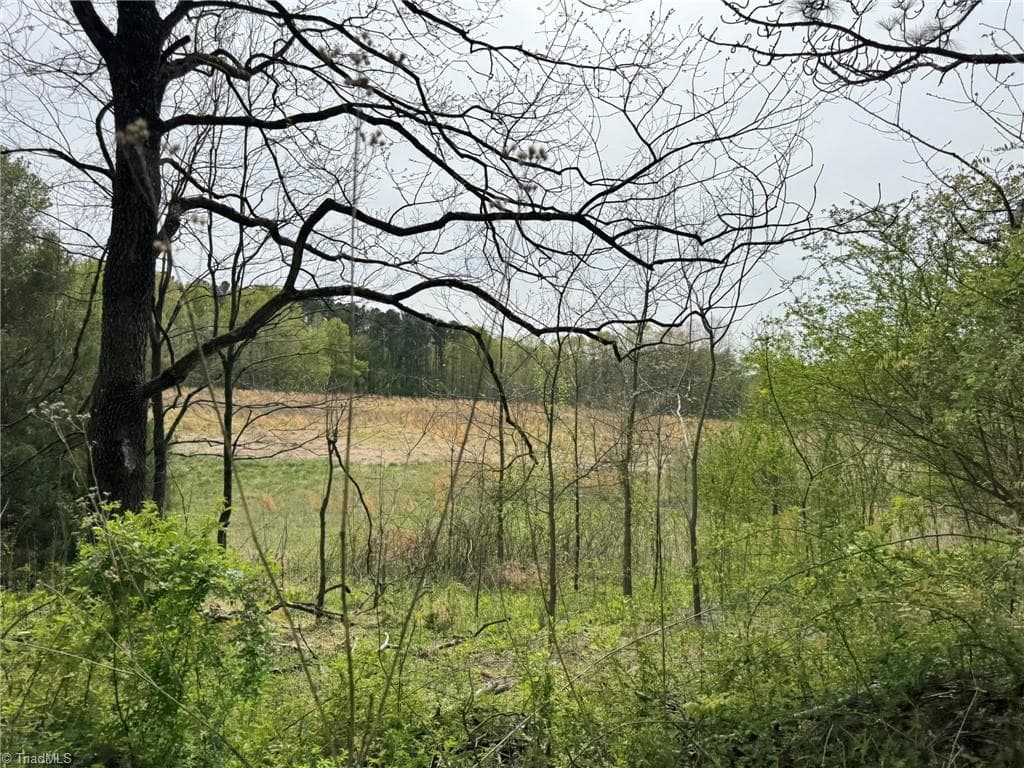 Agriculture at 6988 Salem Chapel Road, Walnut Cove NC 27052, photo 15 of 38
