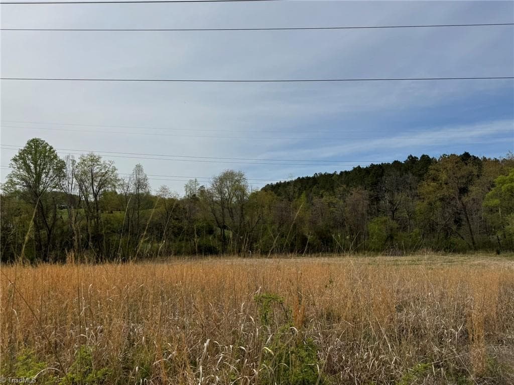 Agriculture at 6988 Salem Chapel Road, Walnut Cove NC 27052, photo 19 of 38