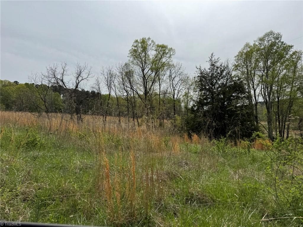 Agriculture at 6988 Salem Chapel Road, Walnut Cove NC 27052, photo 25 of 38