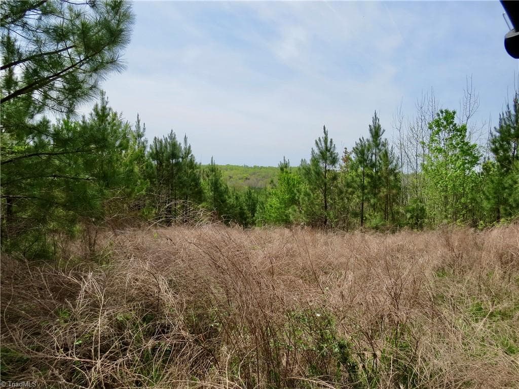 0 Vernon Road, Reidsville NC 27320