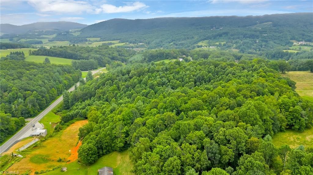 Unimproved Land at TBD US Highway 221, Jefferson NC 28640, photo 6 of 9