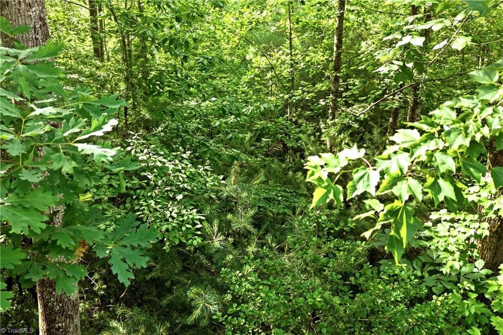 Unimproved Land at 000 Burberry Drive # 19, Purlear NC 28665, photo 27 of 36