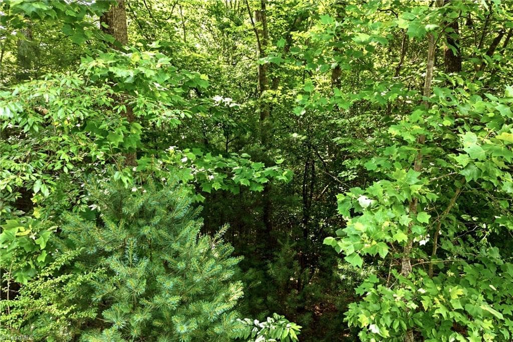 Unimproved Land at 000 Burberry Drive # 19, Purlear NC 28665, photo 26 of 36