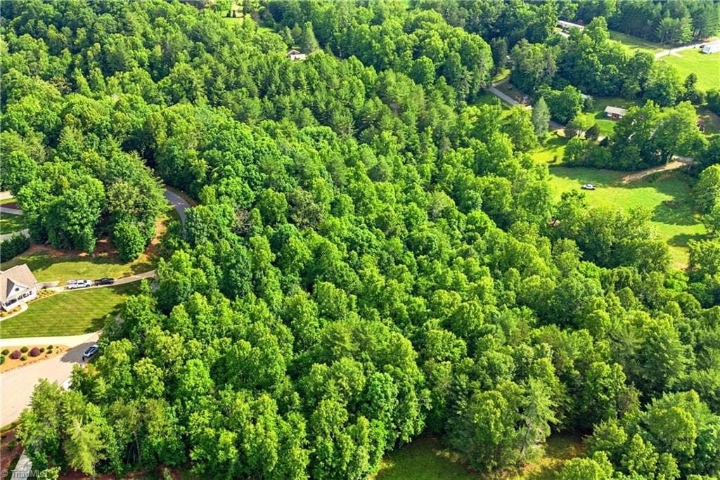 Unimproved Land at 000 Burberry Drive # 19, Purlear NC 28665, photo 5 of 36
