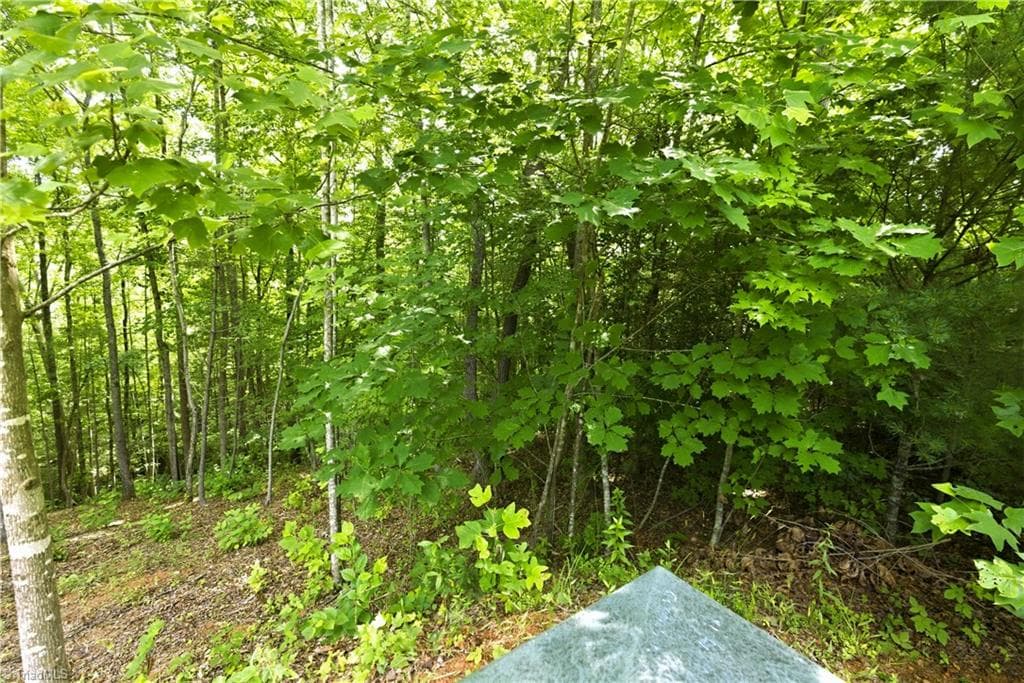 Unimproved Land at 000 Burberry Drive # 19, Purlear NC 28665, photo 34 of 36