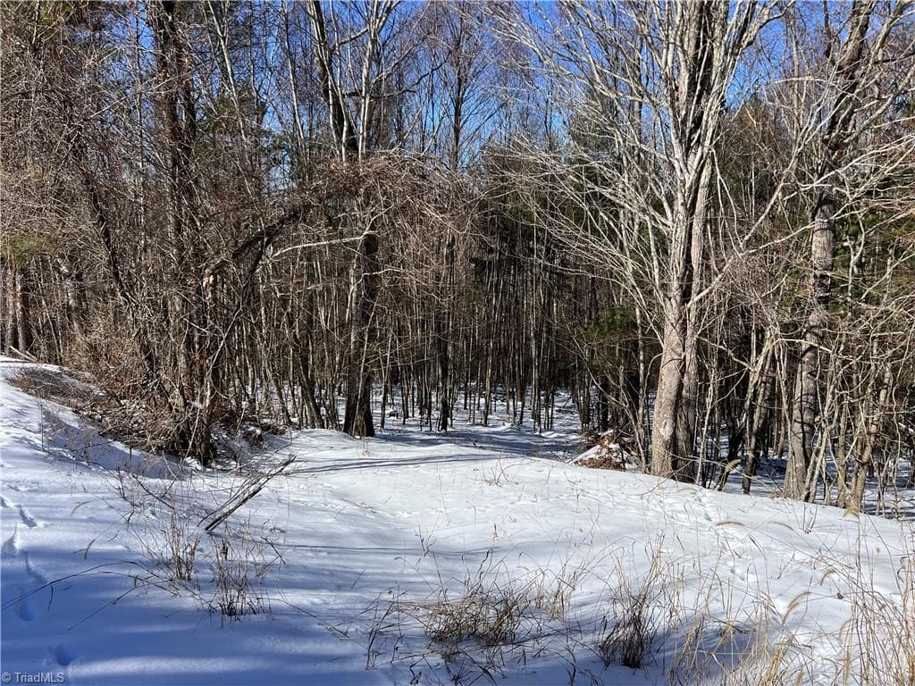 3-Bedroom Septic Approved Double Lot - TBD (Lots 13 & 14) Timberwilde Drive, Laurel Springs NC 28644, Laurel Springs