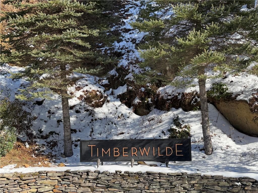 Welcome to Timberwilde - TBD (Lots 13 & 14) Timberwilde Drive, Laurel Springs NC 28644, Laurel Springs