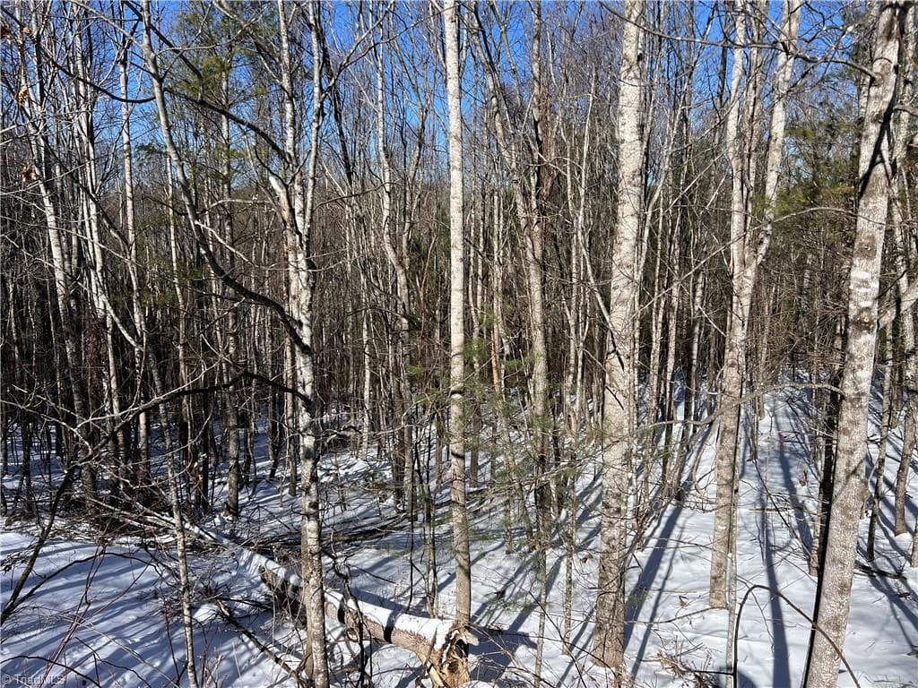 Plenty of Room to Build - TBD (Lots 13 & 14) Timberwilde Drive, Laurel Springs NC 28644, Laurel Springs