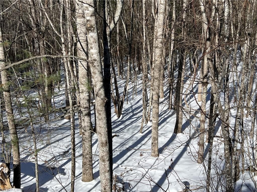 Gently Sloping Lot - TBD (Lots 13 & 14) Timberwilde Drive, Laurel Springs NC 28644, Laurel Springs