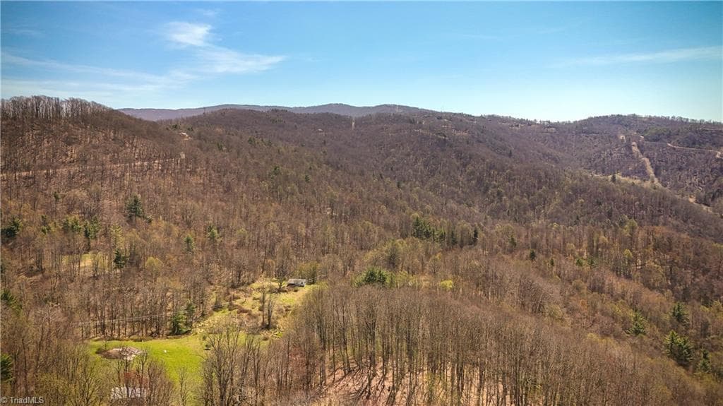 Unimproved Land at 7277 Beech Mountain Road, Beech Mountain NC 28622, photo 9 of 25