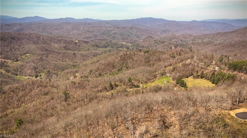 Unimproved Land at 7277 Beech Mountain Road, Beech Mountain NC 28622, photo 10 of 25