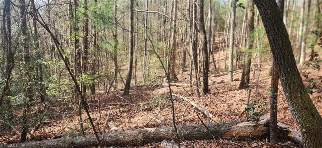 TBD Cane Creek Church Road, McGrady NC 28649