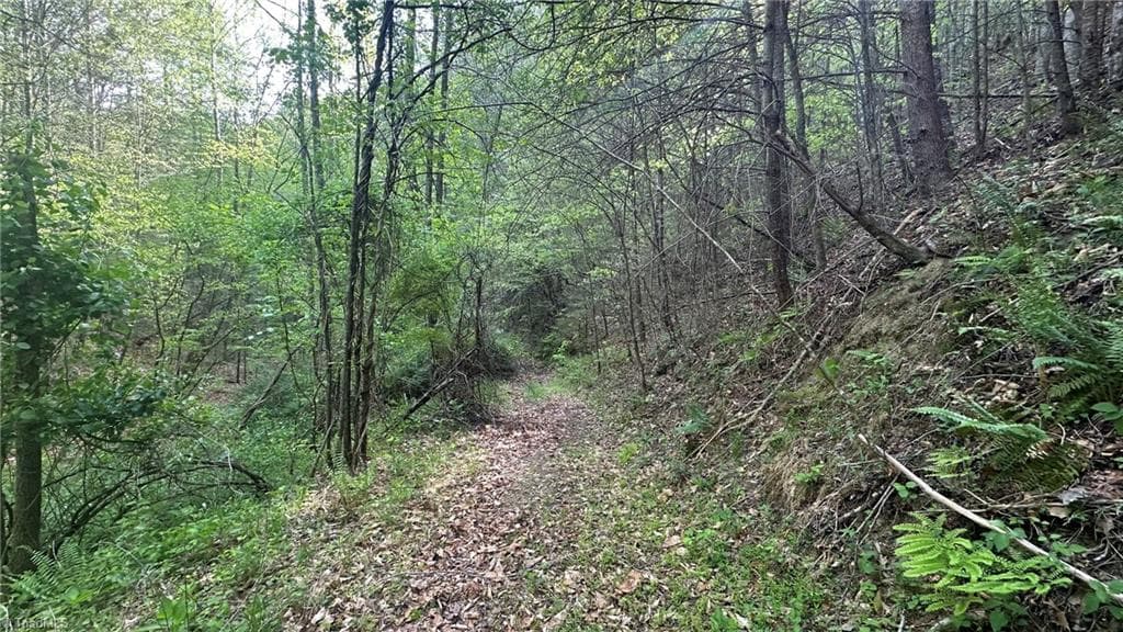 Unimproved Land at TBD Darnell Creek Road, Millers Creek NC 28651, photo 22 of 40