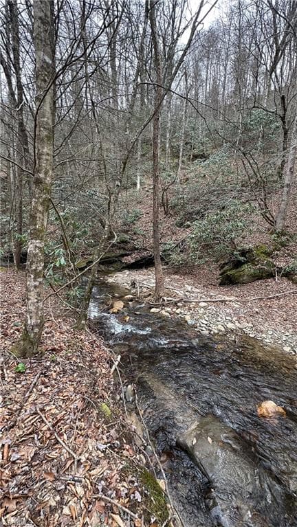 Unimproved Land at TBD Darnell Creek Road, Millers Creek NC 28651, photo 28 of 40