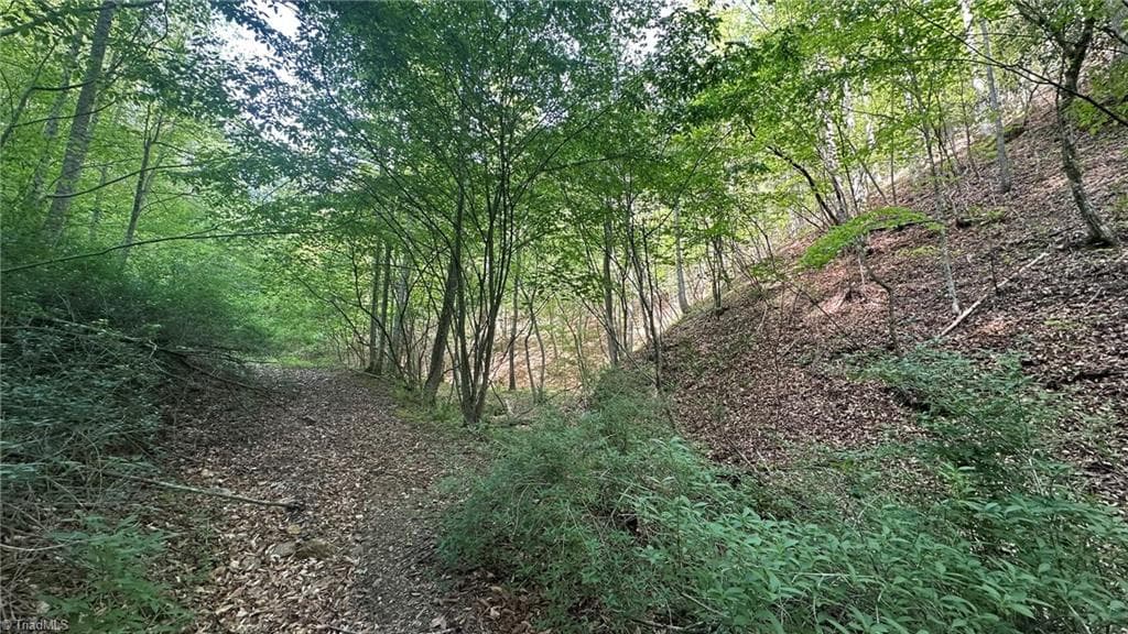 Unimproved Land at TBD Darnell Creek Road, Millers Creek NC 28651, photo 24 of 40
