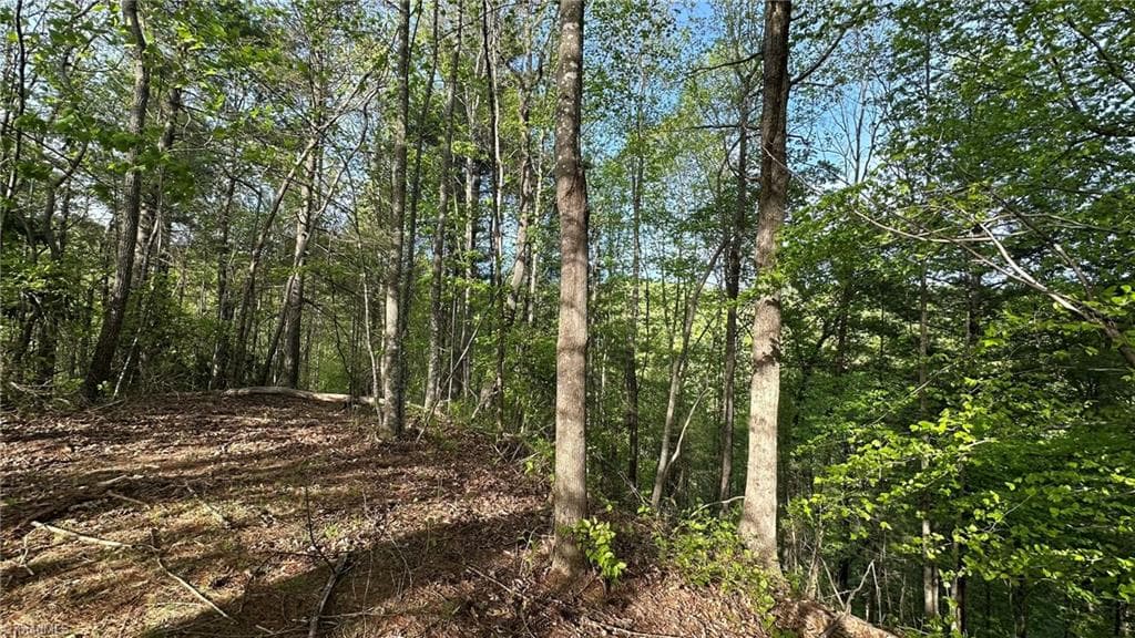 Unimproved Land at TBD Darnell Creek Road, Millers Creek NC 28651, photo 37 of 40