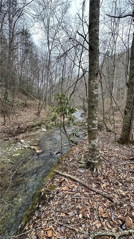 Unimproved Land at TBD Darnell Creek Road, Millers Creek NC 28651, photo 15 of 40