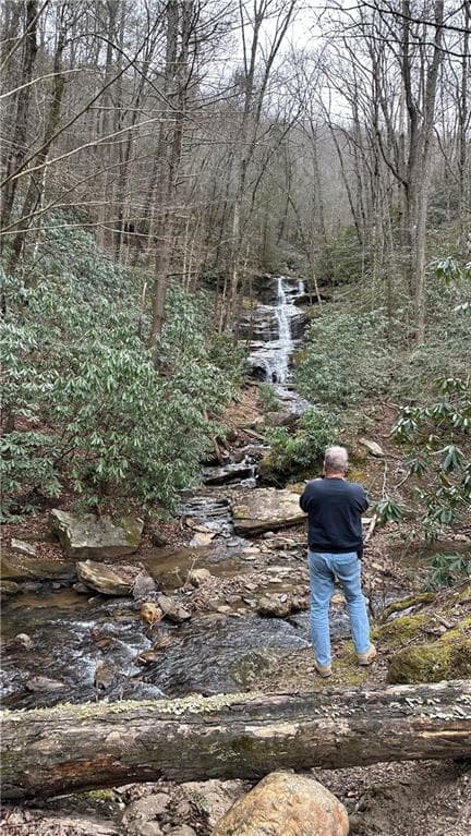 Unimproved Land at TBD Darnell Creek Road, Millers Creek NC 28651, photo 40 of 40